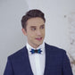 Lanzonia Men's Feather Bow Tie Handmade Bowtie for Wedding Holiday Party