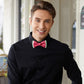 Lanzonia Men's Fashion Novelty Funny Watermelon Patterned Bow Tie for Holiday New Party Birthday - Lanzonia